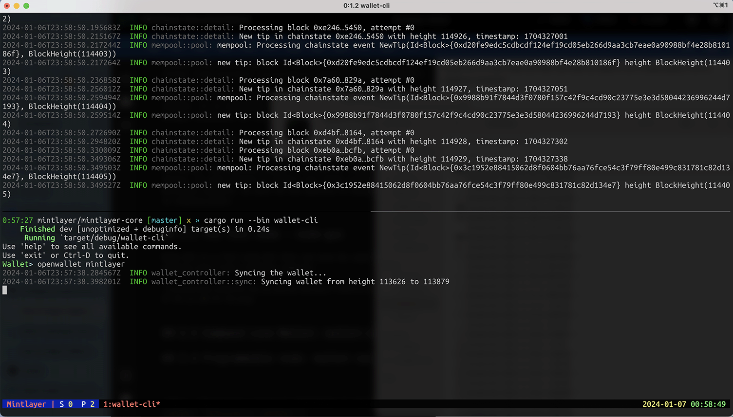 wallet-cli-screenshot.png